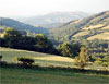 View of the Maesmynis valley near Buith Wells